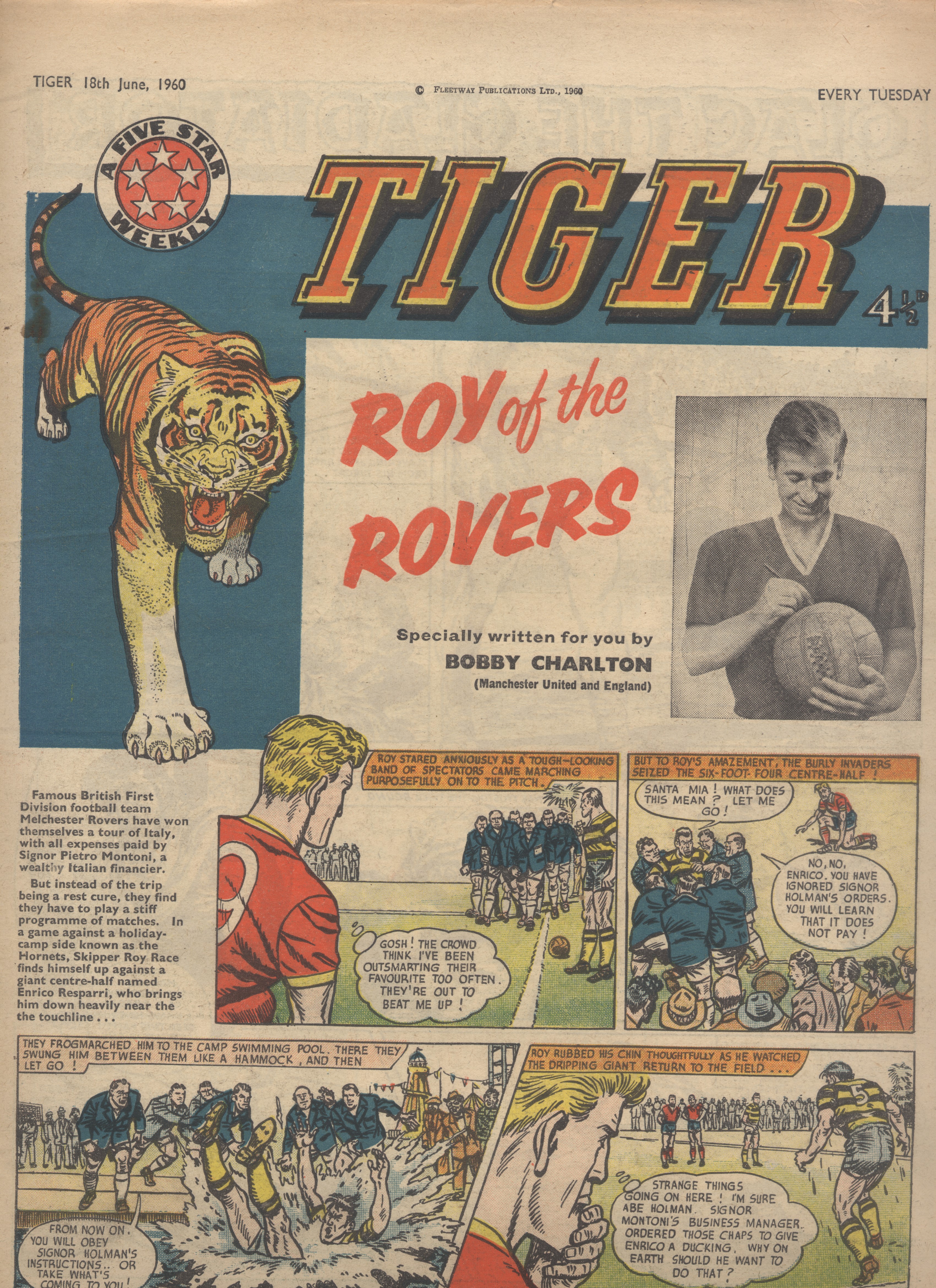 Tiger